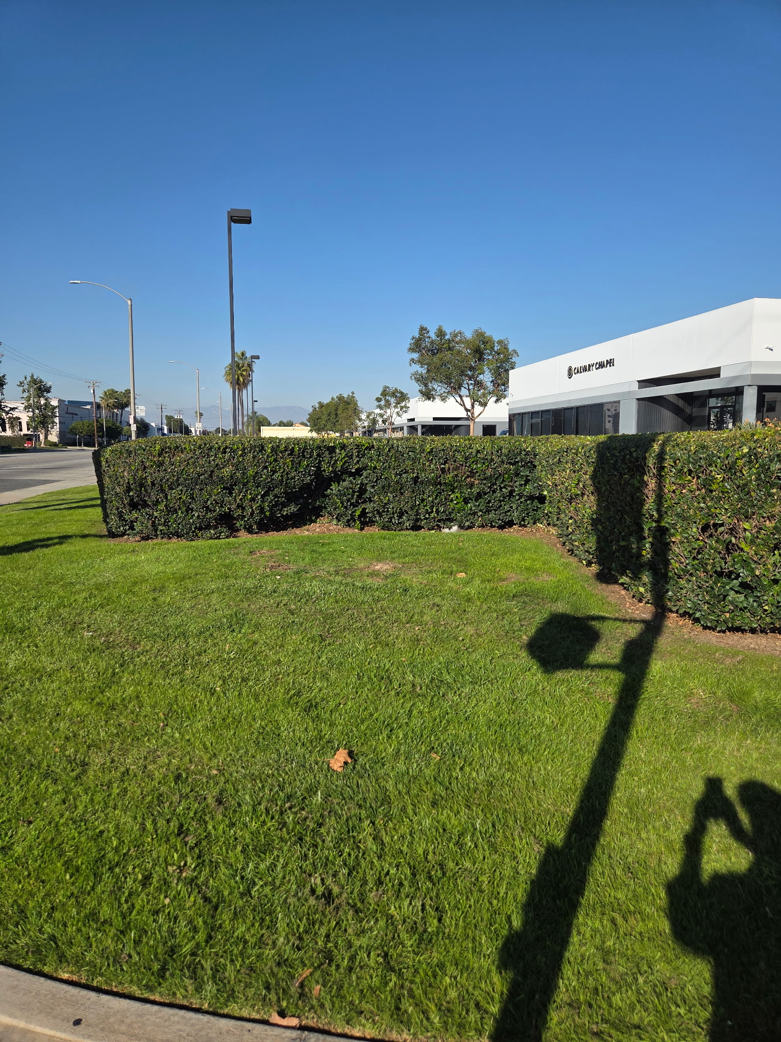 Professional landscaping services